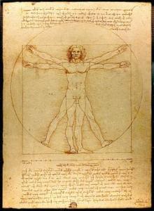Ουμανισμός και ερμηνείες του Πλάτωνα Ο άνθρωπος του Βιτρούβιου του Λεονάρντο Ντα Βίντι, σύμβολο της συμμετρίας του ανθρώπινου σώματος, αλλά και του σύμπαντος,